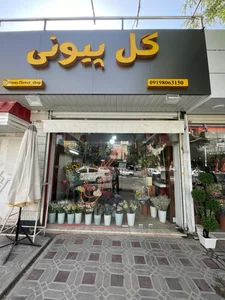 گل پیونی 2
