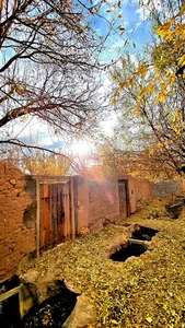 کوچه باغ