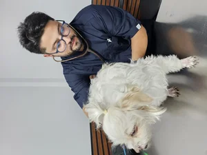 کلینیک تخصصی دامپزشکی دکتر بهزاد شفیعی 4