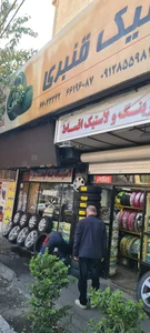 لاستیک قنبری