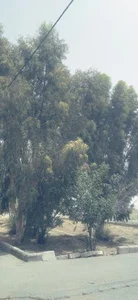 بوستان الوند