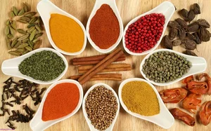 عطاری زیتون