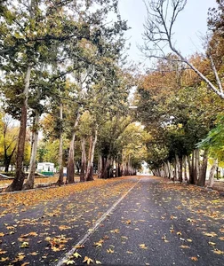 باغ راه شریعتی