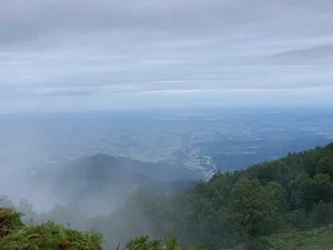 سوته 4