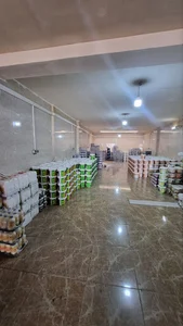 پخش رنگ تیموری