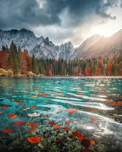 تابلوسازی و مهرسازی مهدی حکانی