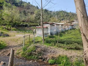 کافه وباغ ماه منیر