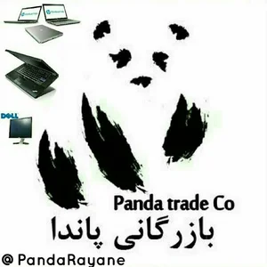 پاندا رایانه