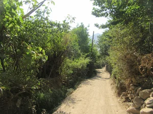 کوچه باغهای طالقان