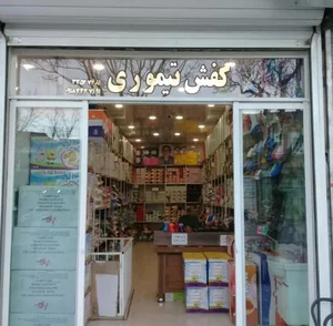 کفش تیموری 2