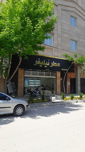 عطر نیلیفر