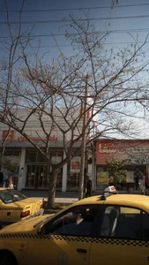 بانک مسکن شعبه بازار روز ساری