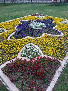 شهرداری نورآباد ممسنی