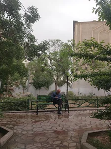 بوستان صنوبر