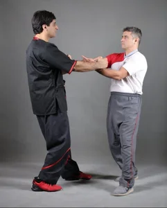 آکادمی وینگ چون علینژاد