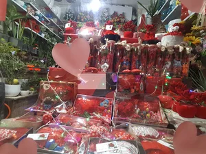 گلستان میلاد