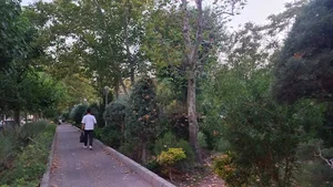 بوستان ارکیده