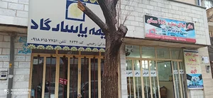 نمایندگی بیمه پاسارگاد