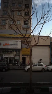 موسسه زبان ایران مهر 2