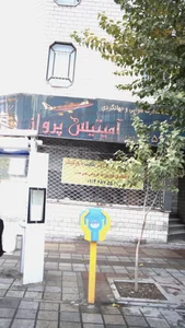 شرکت خدمات مسافرت هوایی و جهانگردی آمیتیس پرواز 3
