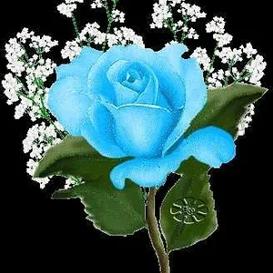 املاک تبریزهوم 5