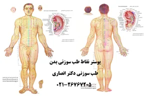 آزمایشگاه پاتوبیولوژی ویلسون