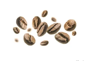 کافیه ( فروشگاه دان قهوه ) 3