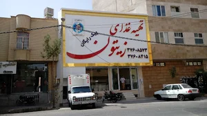 تهیه غذا زیتون