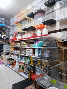 پت شاپ منقارکجها