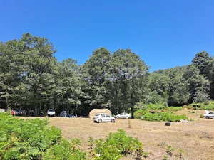 فارسیان