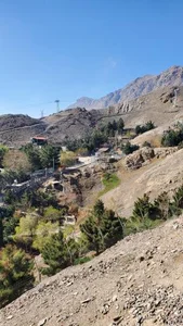 پارک وحش صفه 2