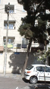 دکتر افسون نورالهی مقدم