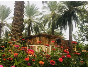 باغ نخلی شهید زاده