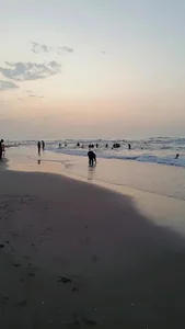 دکترحبیب الله مصطفی لو