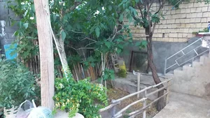 روستایی کمال الملک
