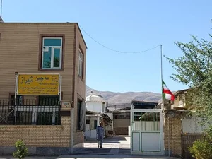 شرکت قارچ مه چین
