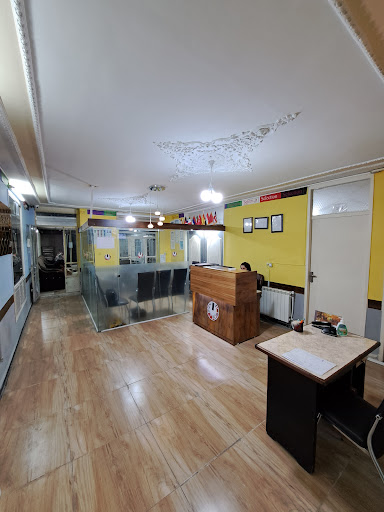 موسسه زبان سلکشن