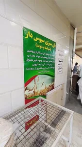 نانوایی تافتون آرد کامل 3