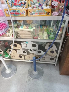 قصر قفس 3