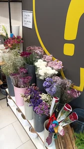 باغچه گلها