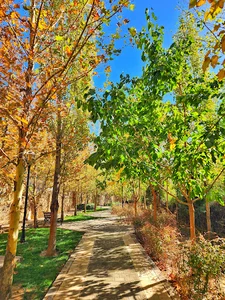 پیروزی