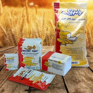 خمیر مایه رضوی