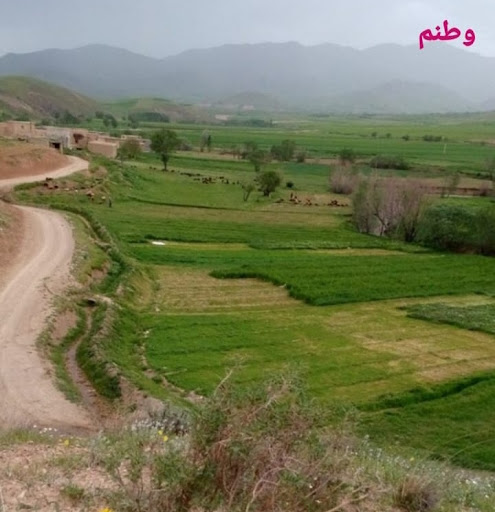نجف آباد