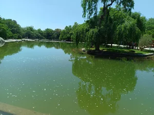 حکیم نظامی