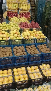 میدان میوه و تره بار ساری