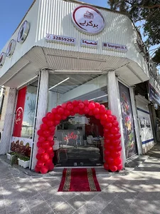 بیمه دانا