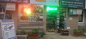 دنیای لنت ممتازی