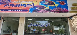 آکواریوم نهنگ آبی