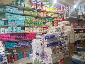 شوینده بهداشتی پاک لند پلاس 2