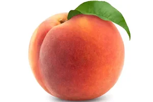 باغ میوه منیریه